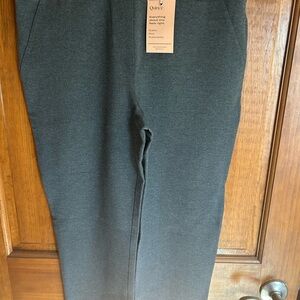 Quince Men's Charcoal Chinos